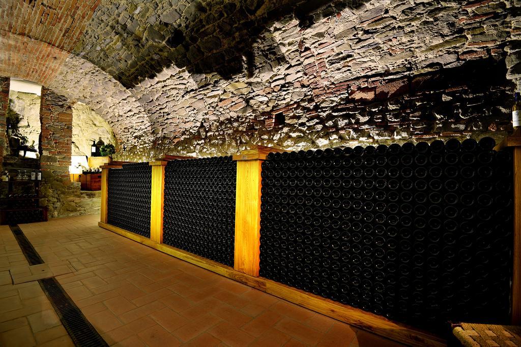 Castellinuzza Villa Greve in Chianti Eksteriør billede