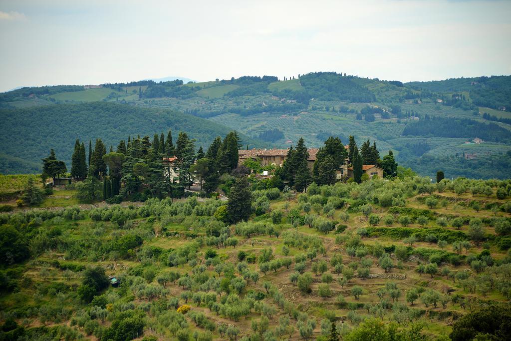 Castellinuzza Villa Greve in Chianti Eksteriør billede