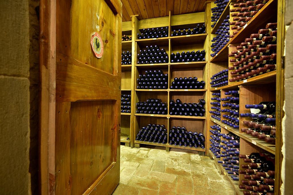 Castellinuzza Villa Greve in Chianti Eksteriør billede