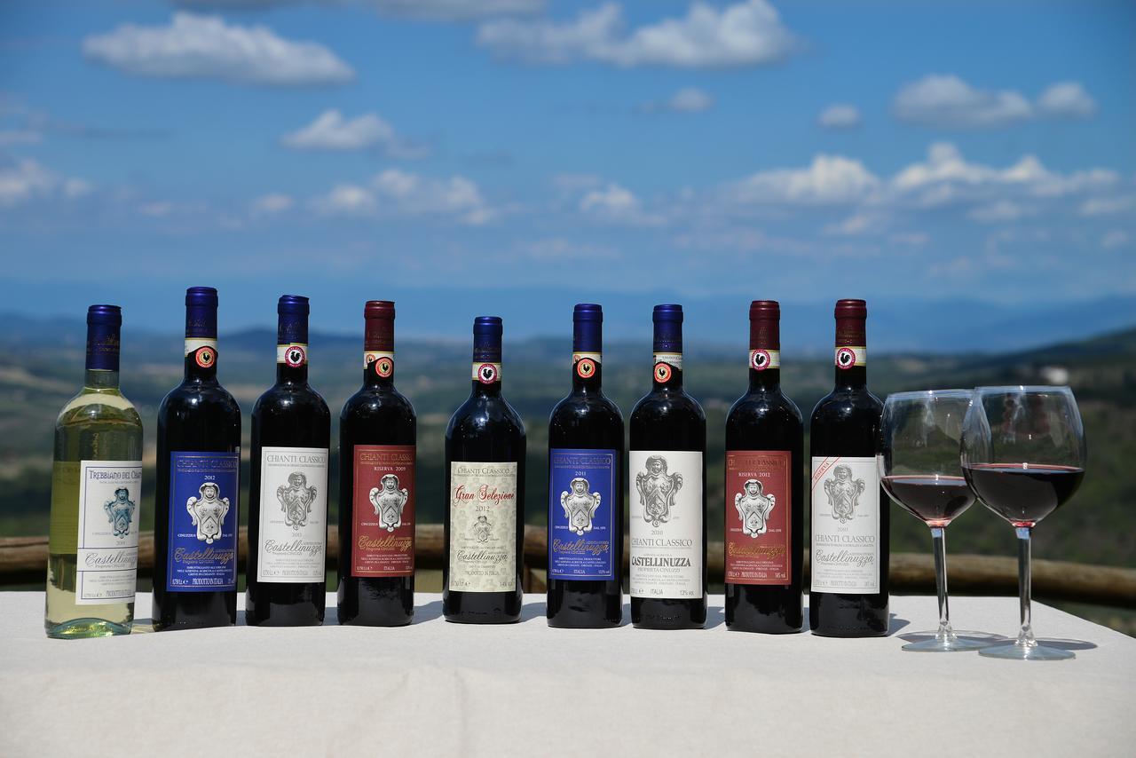 Castellinuzza Villa Greve in Chianti Eksteriør billede